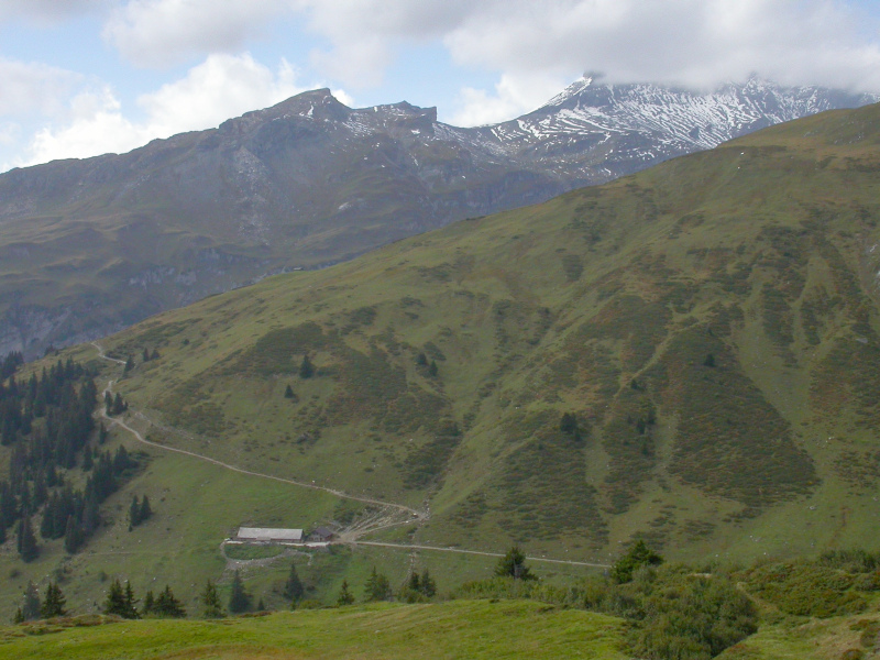 Alp Ranasca