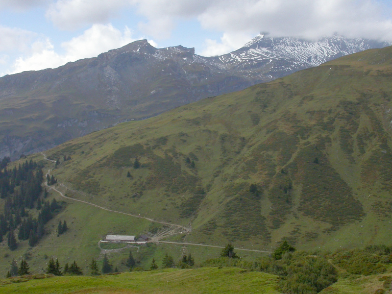 Alpe Ranasca