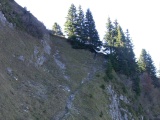 Trittlipass