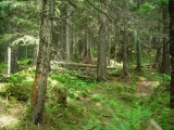 Obermattegg