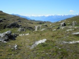 Bistinepass