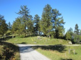 Col du Tronc
