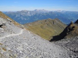 Wildseeluggen