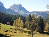 Schörizegg