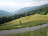 Colle dello Zeno