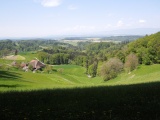 Höchacher