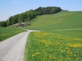 Juchtenegg