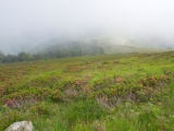 Colle Moncerchio