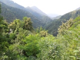 Il Colle