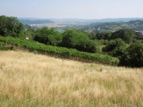 Passo dei Sette Roccoli