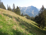Col du Petit Haut-Crêt
