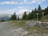 Colle Bercia