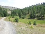 Colle Bercia