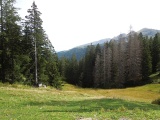 Chaltgräben