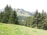 Hinterhöhi