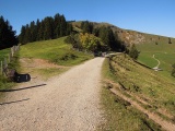 Germelebode