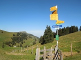 Germelebode