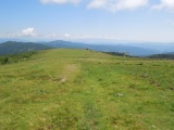 Haidnerhöhe