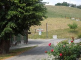 Ferrenberg