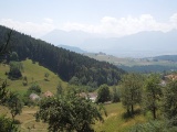 Sattelwald