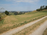 Berg