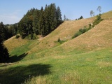 Arboden